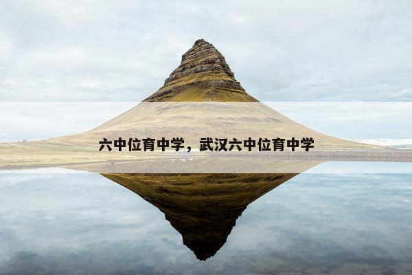 六中位育中学，武汉六中位育中学