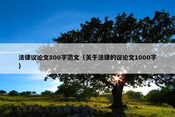 法律议论文800字范文（关于法律的议论文1000字）