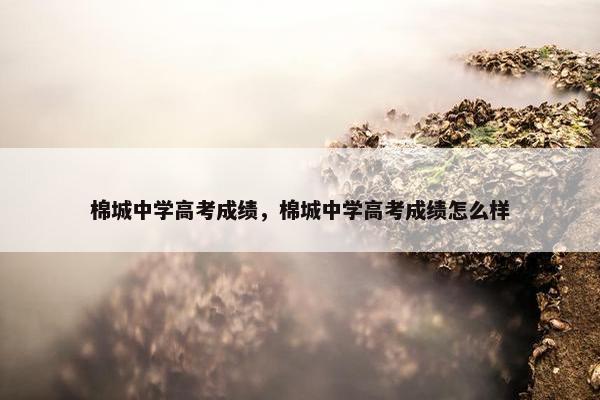 棉城中学高考成绩，棉城中学高考成绩怎么样