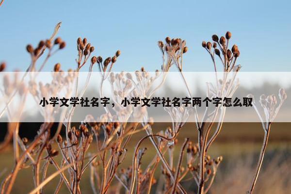 小学文学社名字，小学文学社名字两个字怎么取