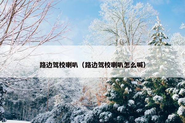路边驾校喇叭（路边驾校喇叭怎么喊）