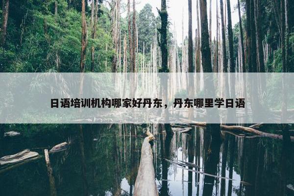 日语培训机构哪家好丹东，丹东哪里学日语