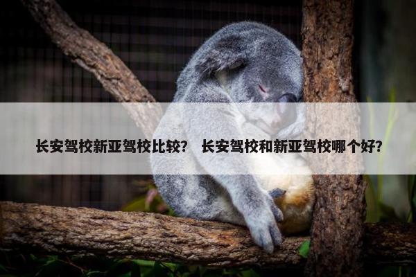 长安驾校新亚驾校比较？ 长安驾校和新亚驾校哪个好？