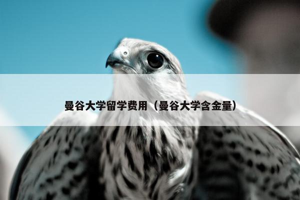 曼谷大学留学费用（曼谷大学含金量）
