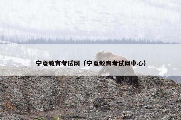 宁夏教育考试网（宁夏教育考试网中心）