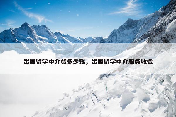 出国留学中介费多少钱，出国留学中介服务收费