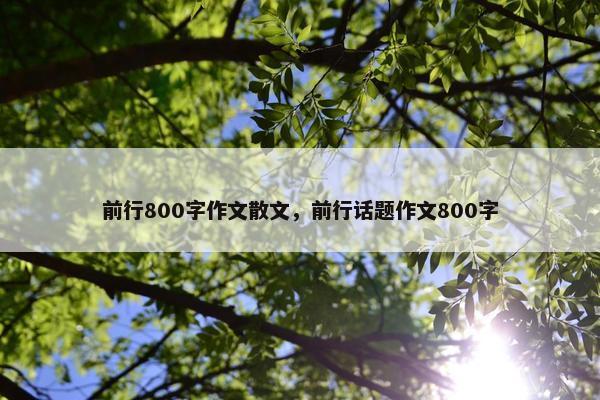 前行800字作文散文，前行话题作文800字