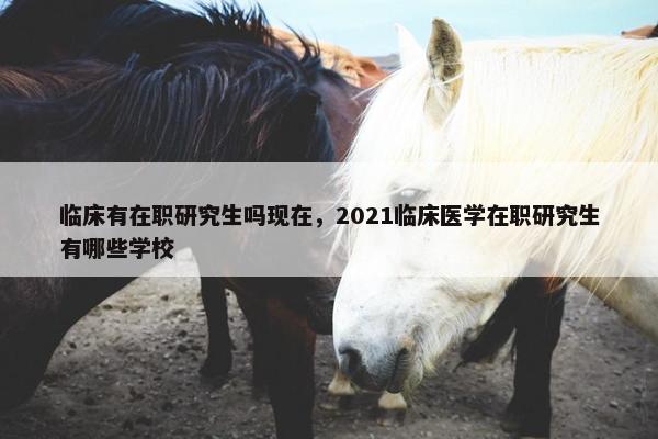 临床有在职研究生吗现在，2021临床医学在职研究生有哪些学校