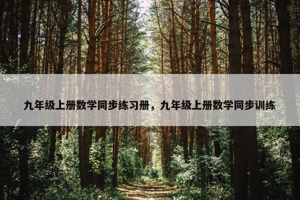 九年级上册数学同步练习册，九年级上册数学同步训练