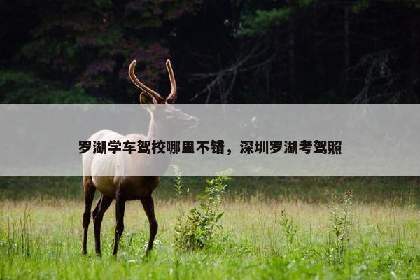 罗湖学车驾校哪里不错，深圳罗湖考驾照