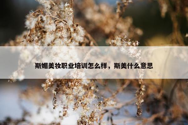 斯媚美妆职业培训怎么样，斯美什么意思