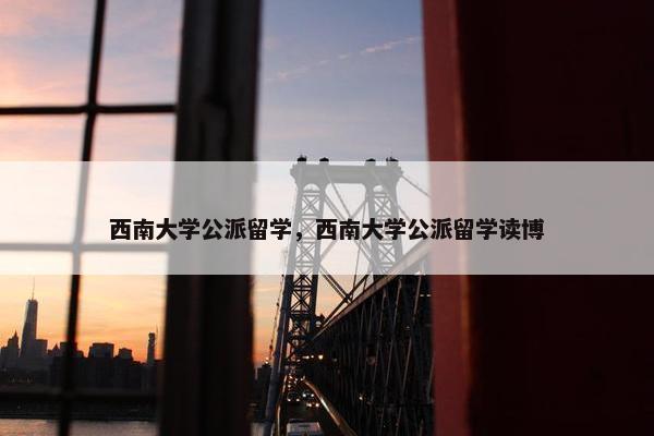 西南大学公派留学，西南大学公派留学读博