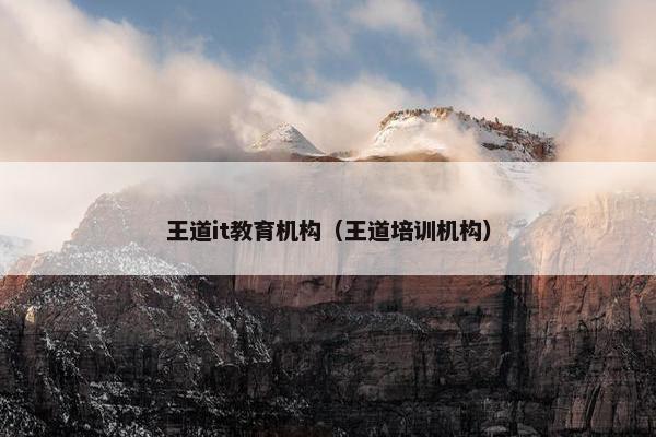 王道it教育机构（王道培训机构）