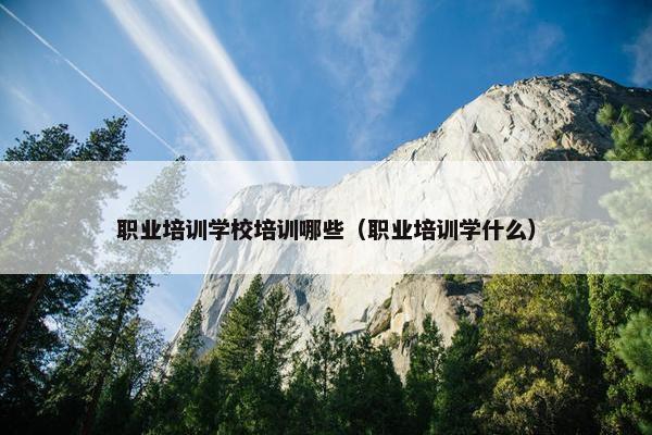 职业培训学校培训哪些（职业培训学什么）