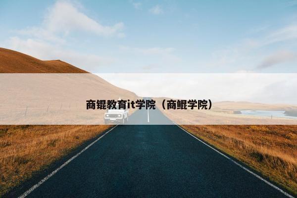 商锟教育it学院（商鲲学院）
