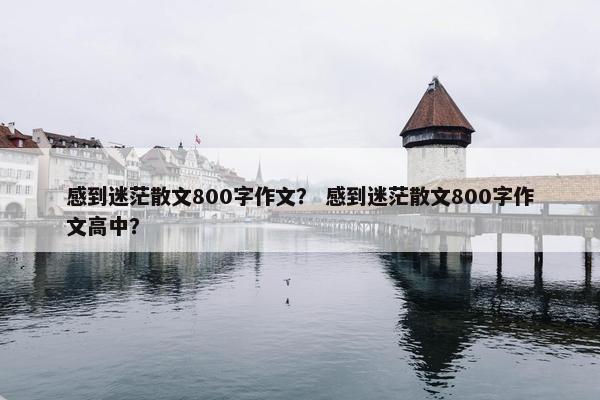 感到迷茫散文800字作文？ 感到迷茫散文800字作文高中？