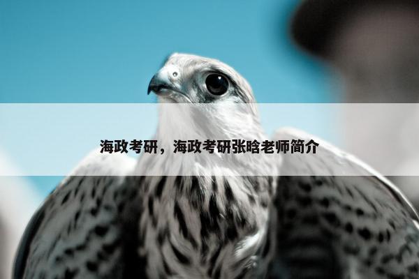 海政考研，海政考研张晗老师简介