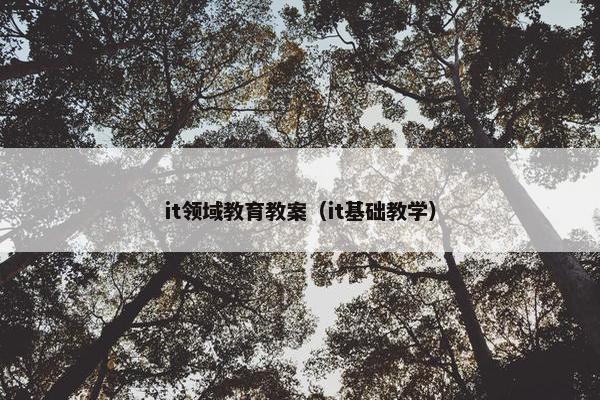 it领域教育教案（it基础教学）