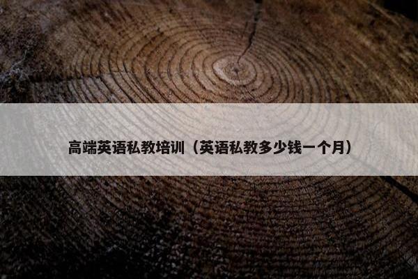 高端英语私教培训（英语私教多少钱一个月）