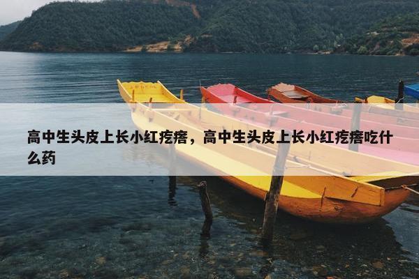 高中生头皮上长小红疙瘩，高中生头皮上长小红疙瘩吃什么药