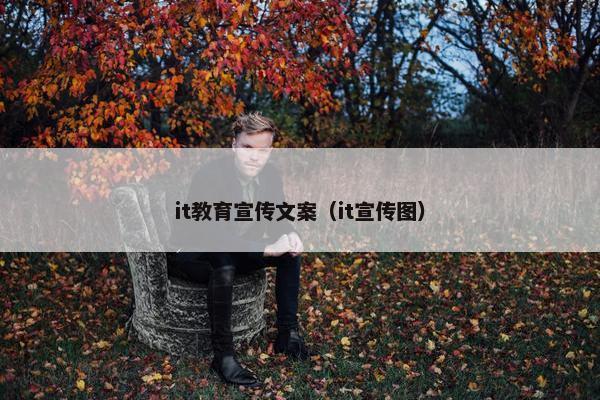 it教育宣传文案（it宣传图）