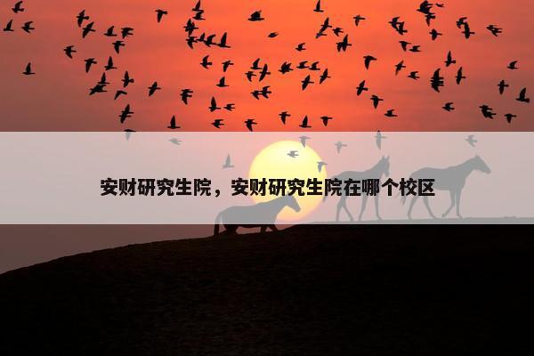 安财研究生院，安财研究生院在哪个校区