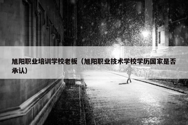旭阳职业培训学校老板（旭阳职业技术学校学历国家是否承认）