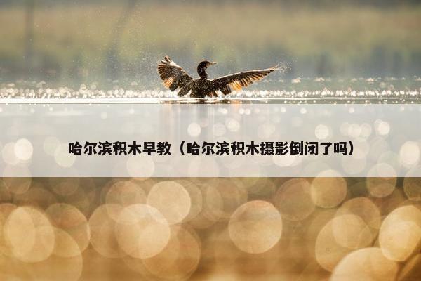 哈尔滨积木早教（哈尔滨积木摄影倒闭了吗）