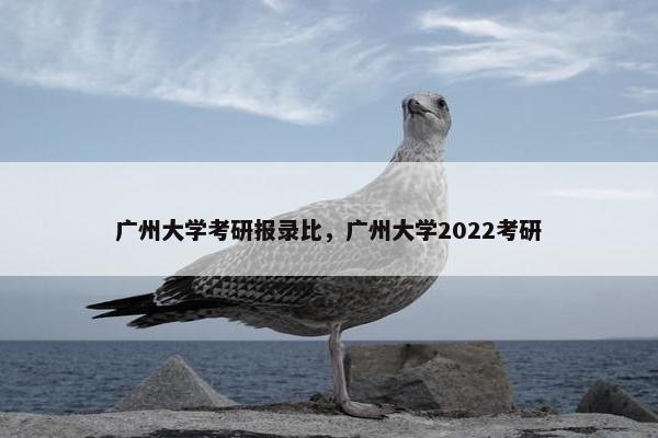 广州大学考研报录比，广州大学2022考研