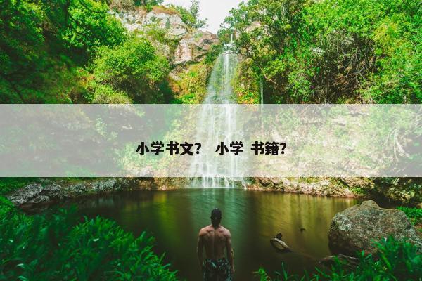 小学书文？ 小学 书籍？