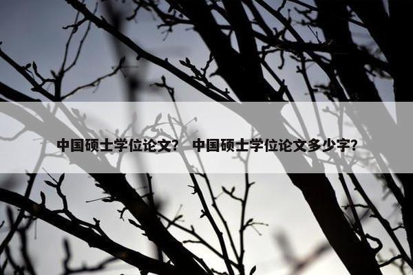 中国硕士学位论文？ 中国硕士学位论文多少字？