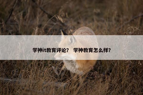 学神it教育评论？ 学神教育怎么样？