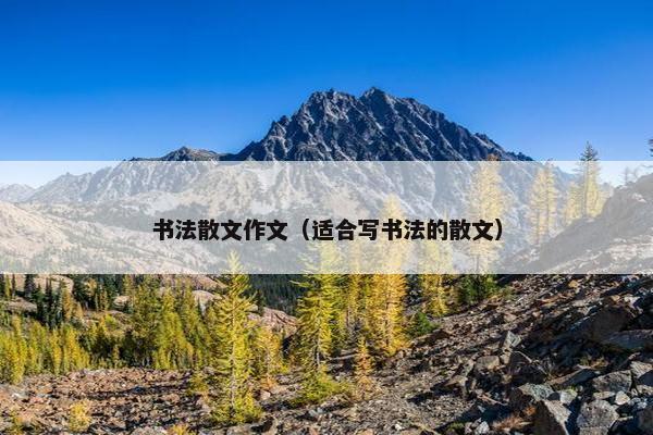 书法散文作文（适合写书法的散文）