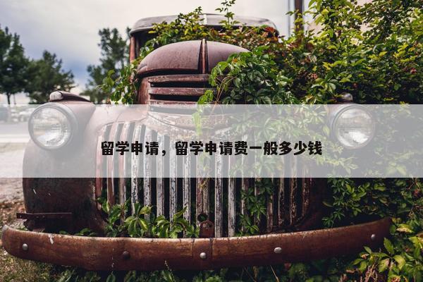 留学申请，留学申请费一般多少钱