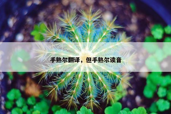 手熟尔翻译，但手熟尔读音