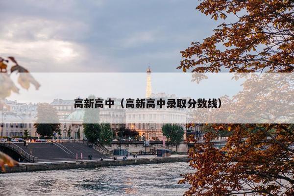高新高中（高新高中录取分数线）