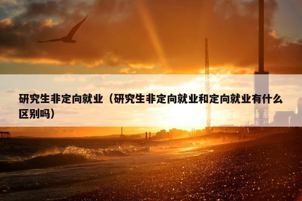 研究生非定向就业（研究生非定向就业和定向就业有什么区别吗）