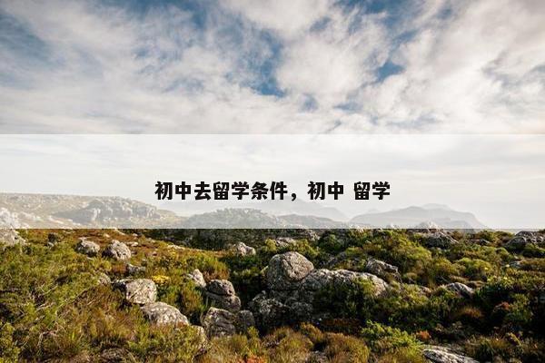 初中去留学条件，初中 留学
