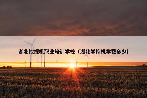 湖北挖掘机职业培训学校（湖北学挖机学费多少）