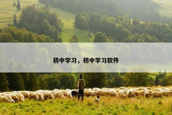 初中学习，初中学习软件