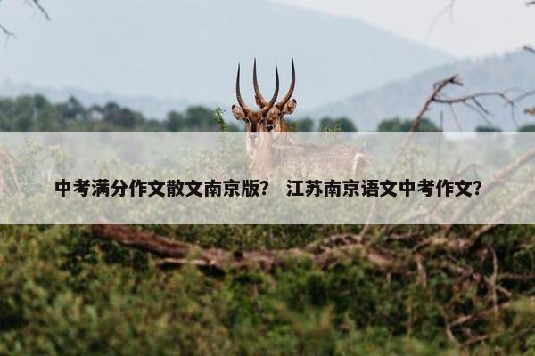 中考满分作文散文南京版？ 江苏南京语文中考作文？