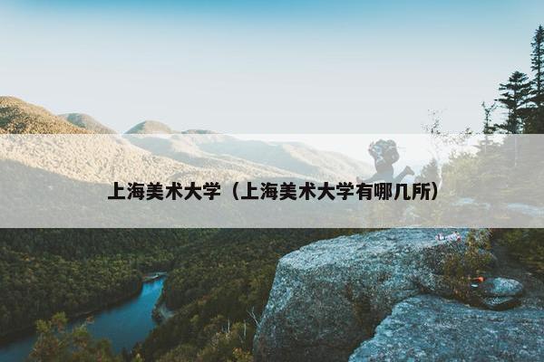 上海美术大学（上海美术大学有哪几所）