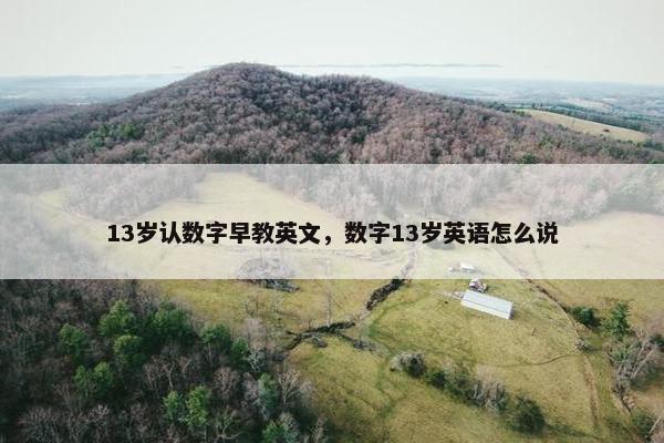 13岁认数字早教英文，数字13岁英语怎么说