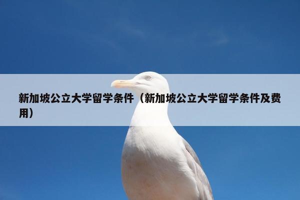 新加坡公立大学留学条件（新加坡公立大学留学条件及费用）