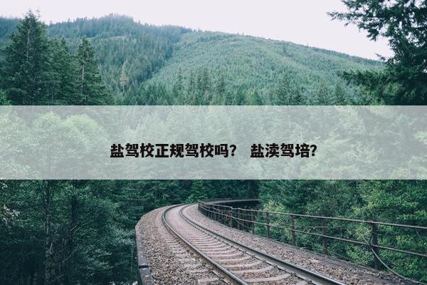 盐驾校正规驾校吗？ 盐渎驾培？