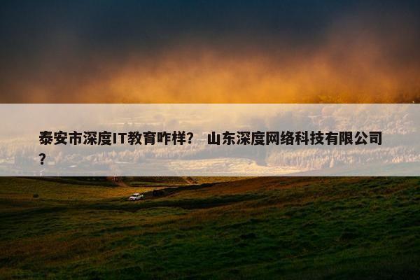 泰安市深度IT教育咋样？ 山东深度网络科技有限公司？