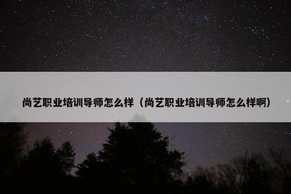 尚艺职业培训导师怎么样（尚艺职业培训导师怎么样啊）