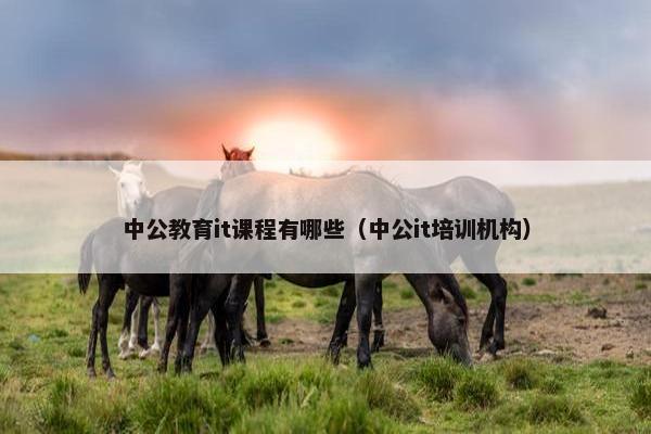 中公教育it课程有哪些（中公it培训机构）