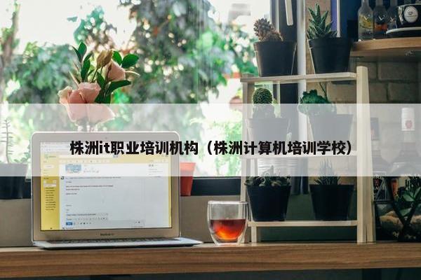 株洲it职业培训机构（株洲计算机培训学校）