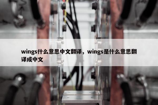 wings什么意思中文翻译，wings是什么意思翻译成中文